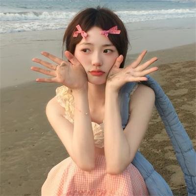 绽放的玫瑰